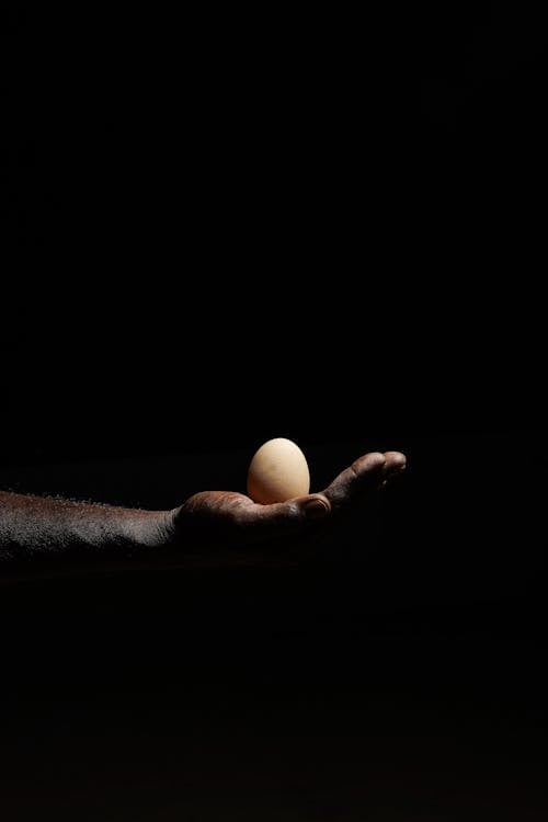 Free A Person Holding an Egg Stock Photo