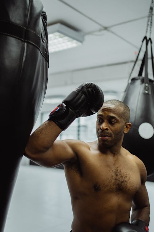 Foto profissional grátis de boxeador, boxer, calção