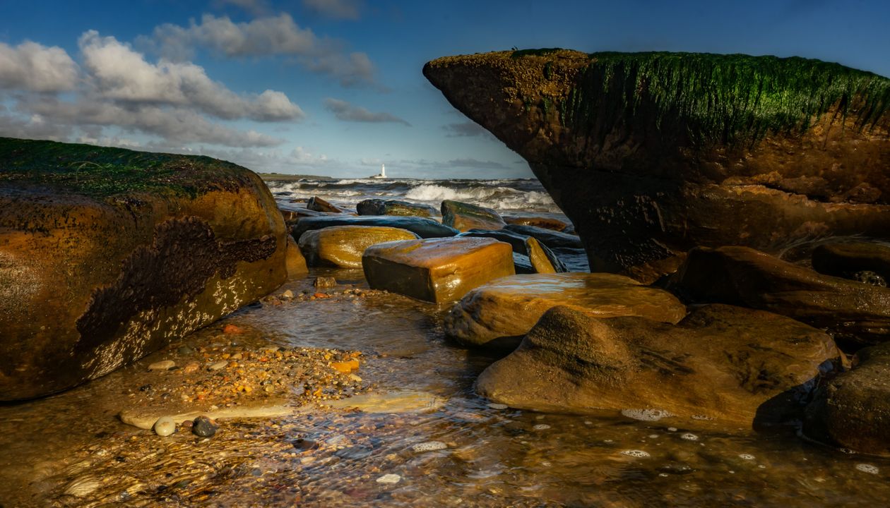 Shoreside Rocks Rocks on Seashore · Free Stock Photo