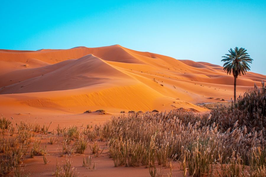Tour de 7 Días de Tánger a Marrakech vía Desierto Gallery 2