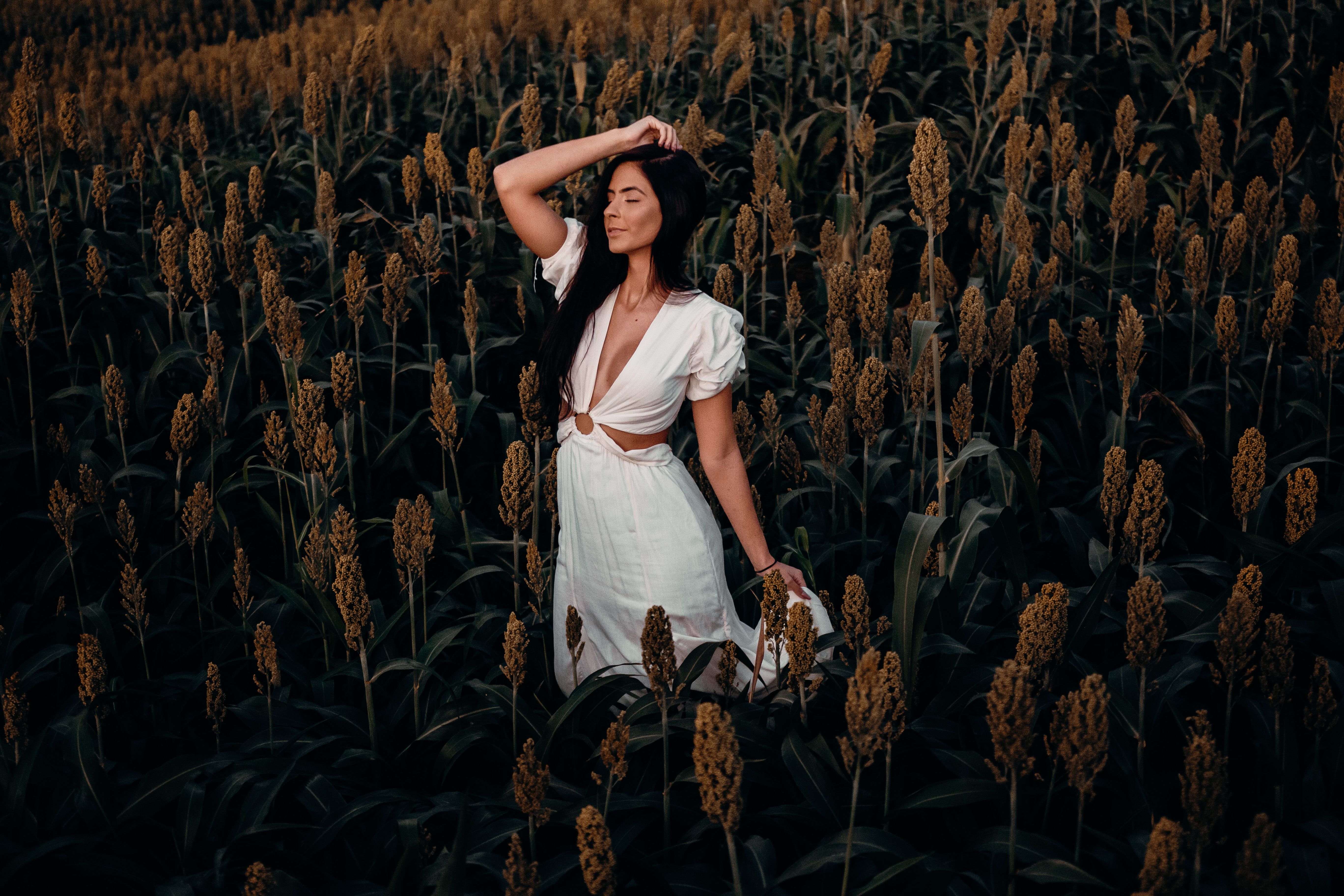 Semente de Sorgo