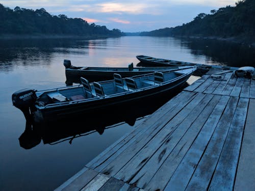 akşam, amazon nehri, ırmak içeren Ücretsiz stok fotoğraf