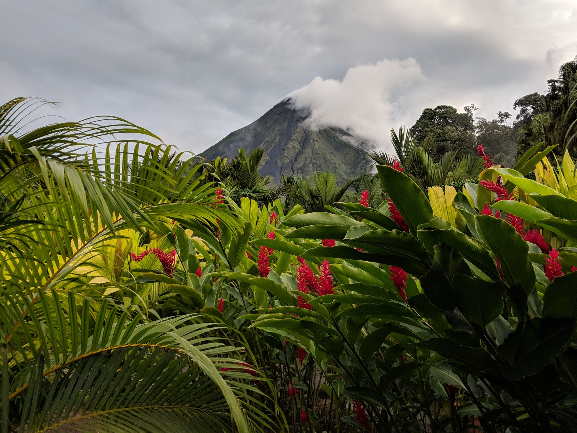 La Fortuna