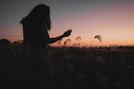 Woman in Black T-shirt Standing on Flower Field during Sunset