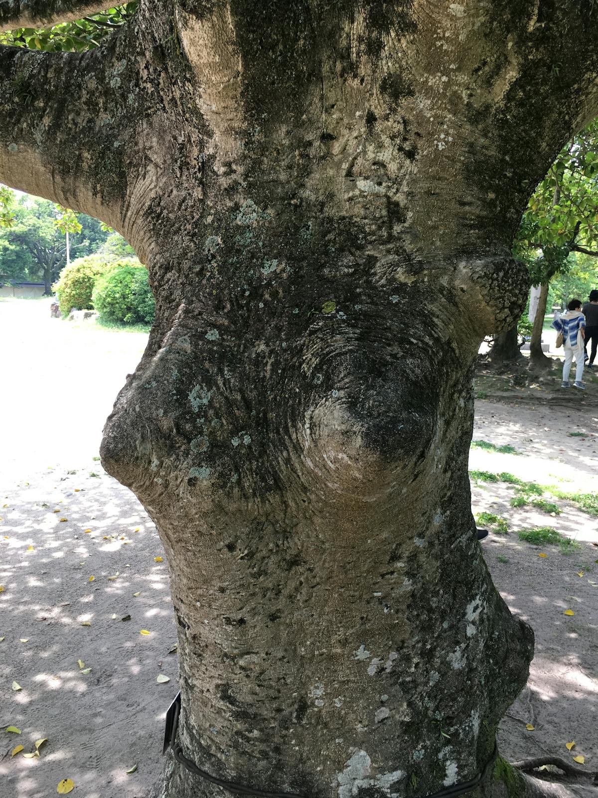 Family walking together near a European landmark at sunset