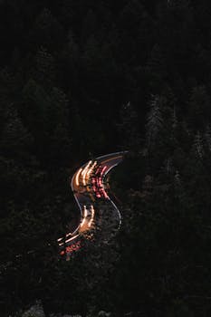 Curved road with light trails through a dark forest, capturing a night drive in Colorado.