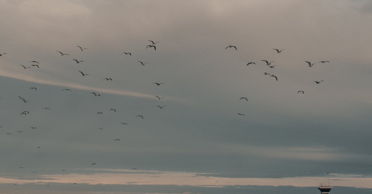 How long to fly to Hawaii from Atlanta