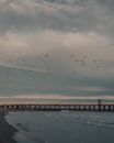 Long pier near wavy sea under cloudy sky with seagulls