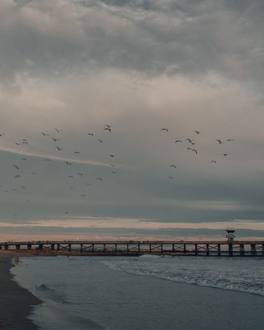 Narrow pier near rippling foamy wavy sea washing sandy coast under gray cloudy gloomy sky with seagulls flying