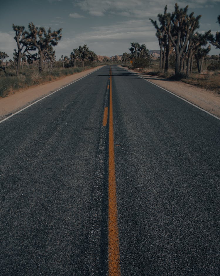 Asphalt Road With Marking Line Surrounded With Dry Lands