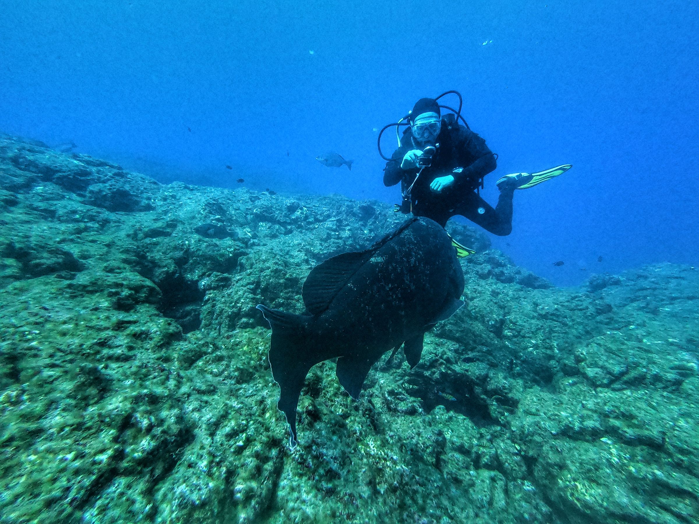 Diving in Lanzarote
