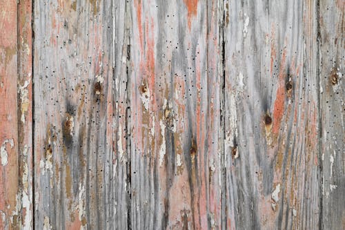 Texture of Wood