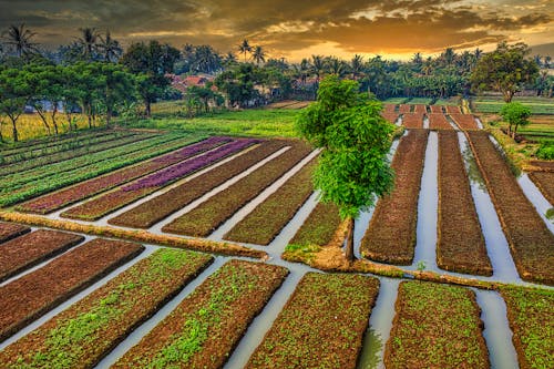 คลังภาพถ่ายฟรี ของ กลางแจ้ง, ชนบท, ตะวันลับฟ้า