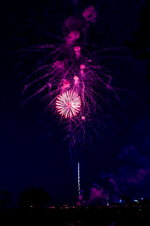 Pink and White Fireworks Display