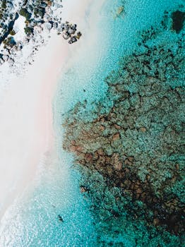 罗特内斯特岛的绿松石水和白色沙滩，从空中拍摄的画面令人惊叹