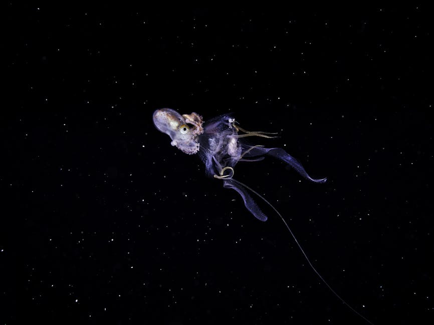 2. "Echoes of the Deep": Unraveling the Mysteries of the Abyss 2. "Echoes of the Deep": Unraveling the Mysteries of the Abyss