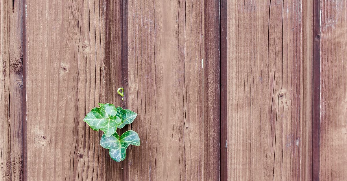 Custom Fencing Solutions That Last