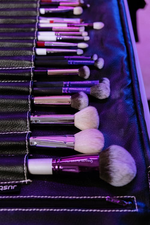 Black and Silver Makeup Brush Set