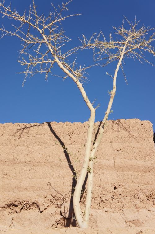 Free stock photo of atacama, blue, desert Stock Photo