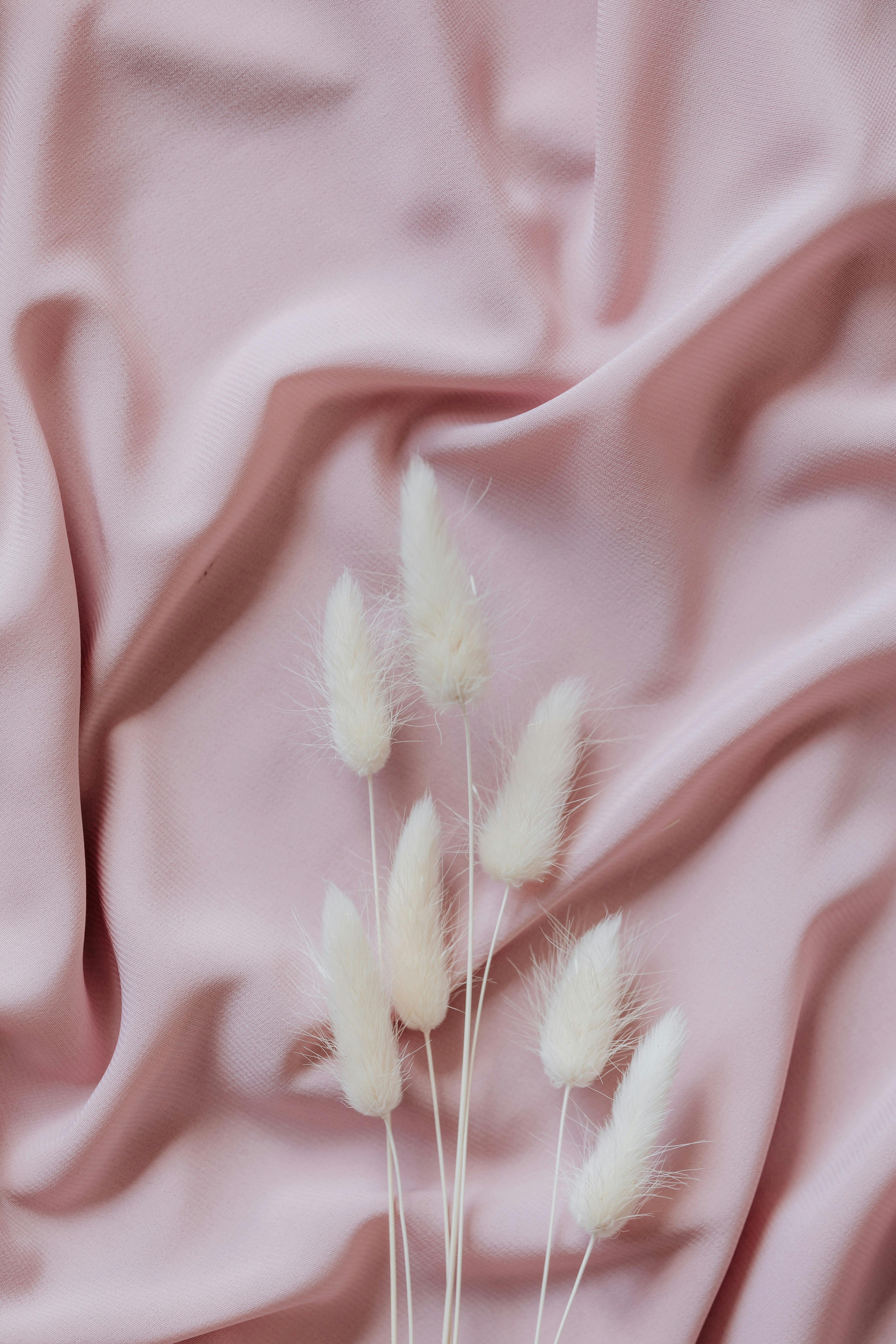 Free White Flowers on a Pink Cloth Stock Photo