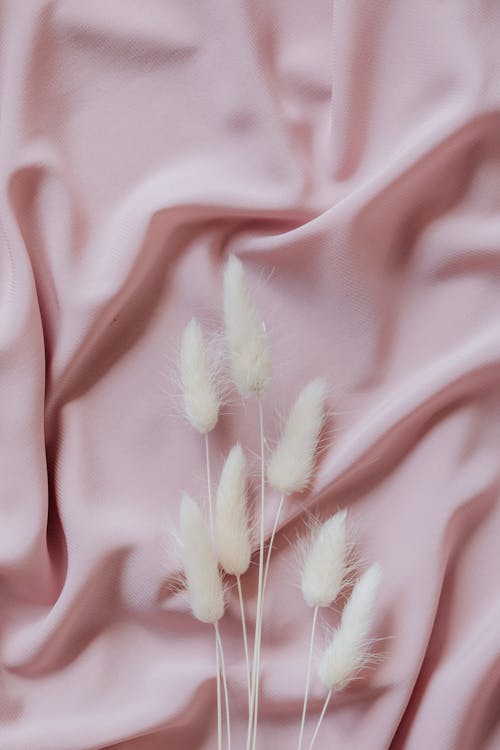 White Flowers on a Pink Cloth