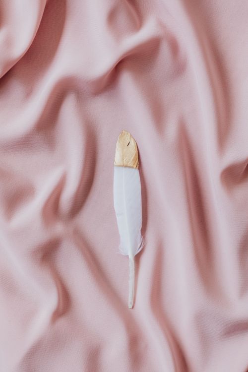 Free A delicate feather with a golden tip rests on a smooth pink fabric, creating a soft, luxurious ambiance. Stock Photo