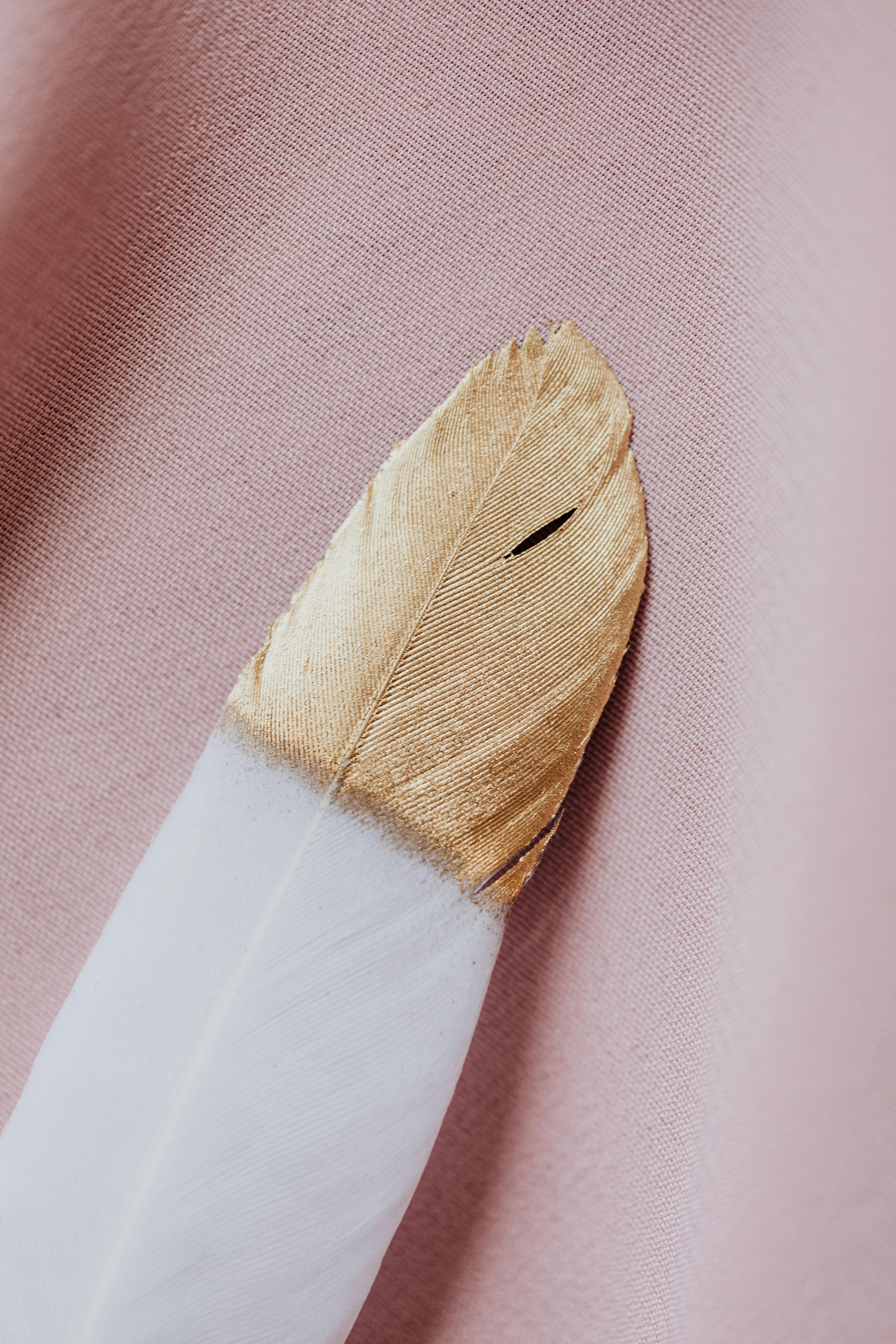 a close up shot of a feather with a gold tip