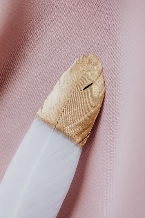 Free Elegant close-up of a gold-tipped feather on soft pink fabric, showcasing texture and detail. Stock Photo