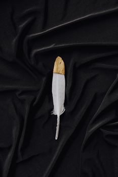 在柔软的黑色折痕面料上，以单一的白色和金色羽毛作为点缀，营造出极简而优雅的外观