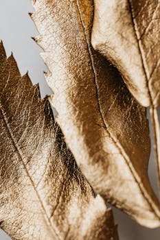 金属金叶的美丽特写中，纹理和图案错综复杂