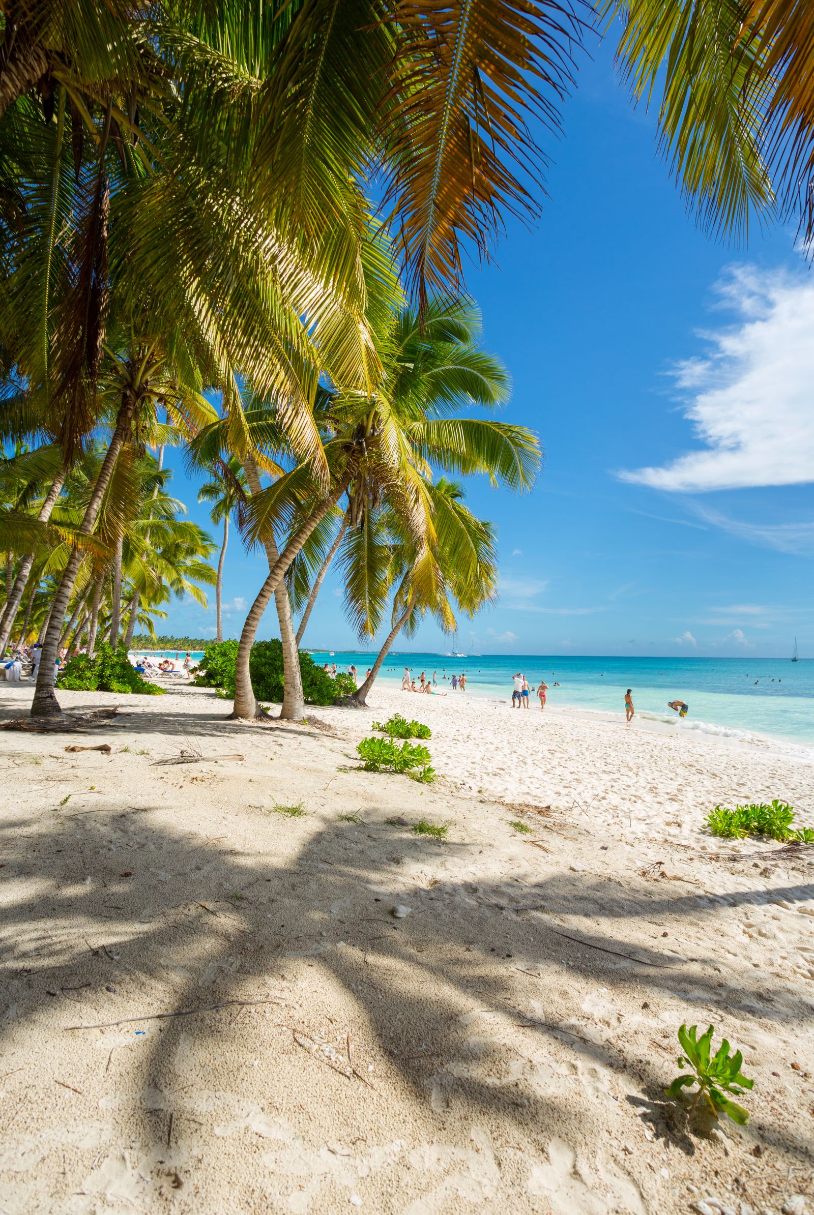 Macao Beach: what to expect at one of Punta Cana’s best-known public beaches — Punta Cana