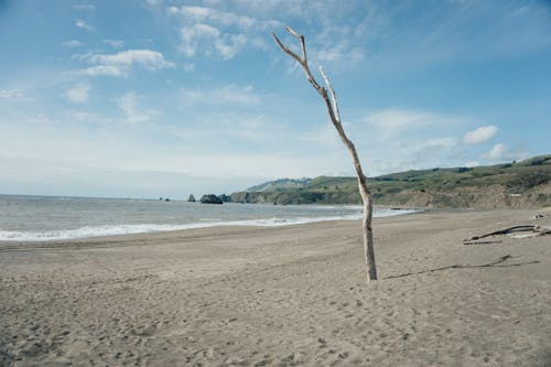 Foto d'estoc gratuïta de , a l'aire lliure, aigua