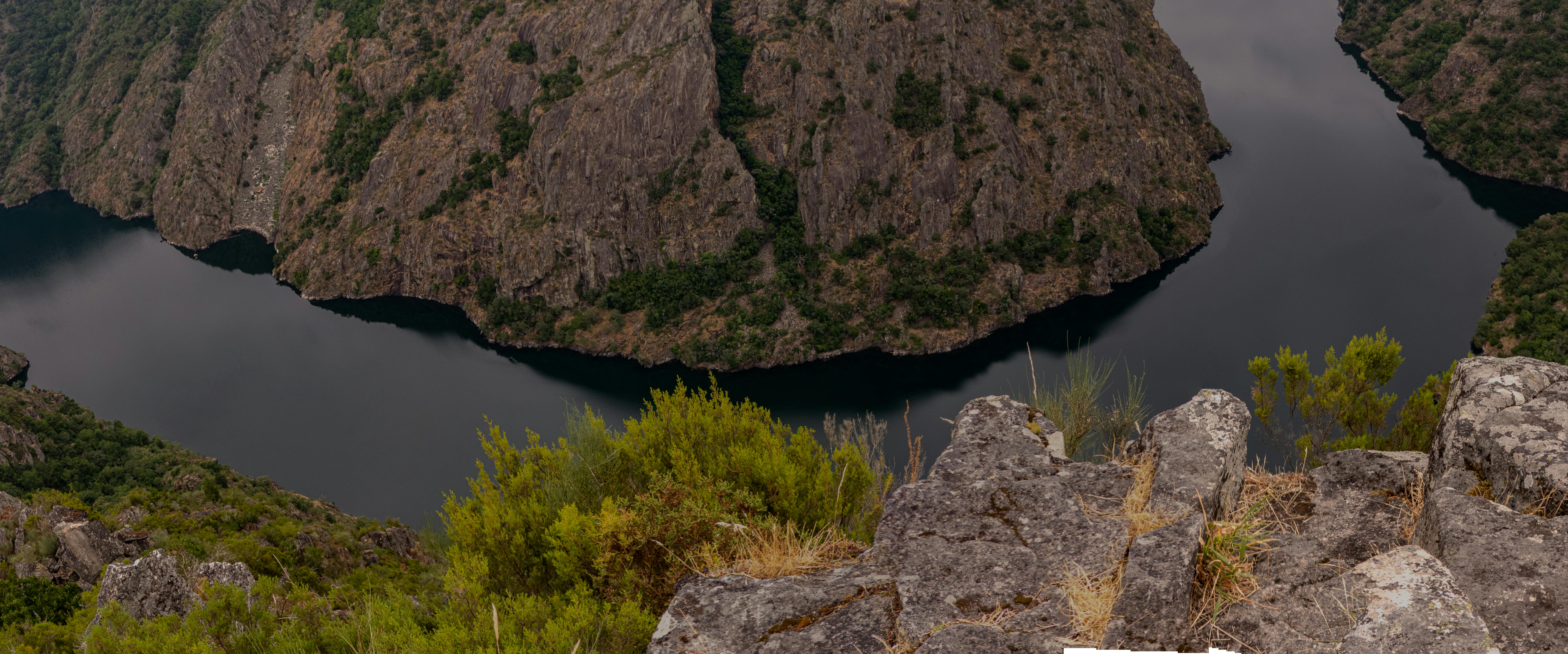 Doctor reviewing flu season graphs and charts on a tablet