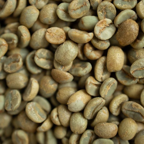 Green unroasted coffee beans close-up macro
