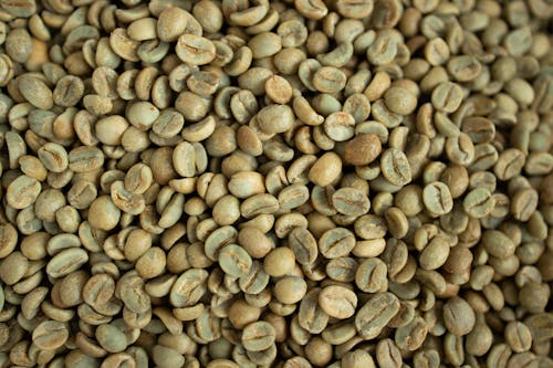 Bezpłatne Darmowe zdjęcie z galerii z fasola, kawa, kofeina Zdjęcie z galerii