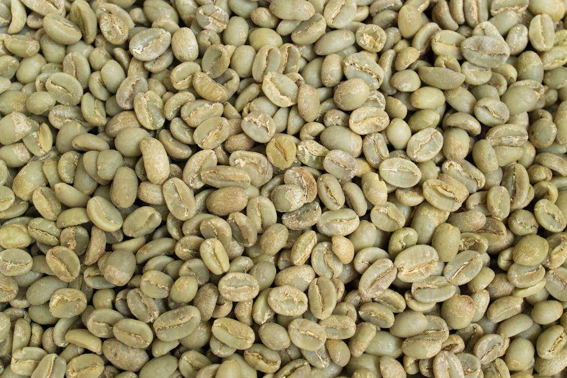 Bunch of Green Coffee Beans