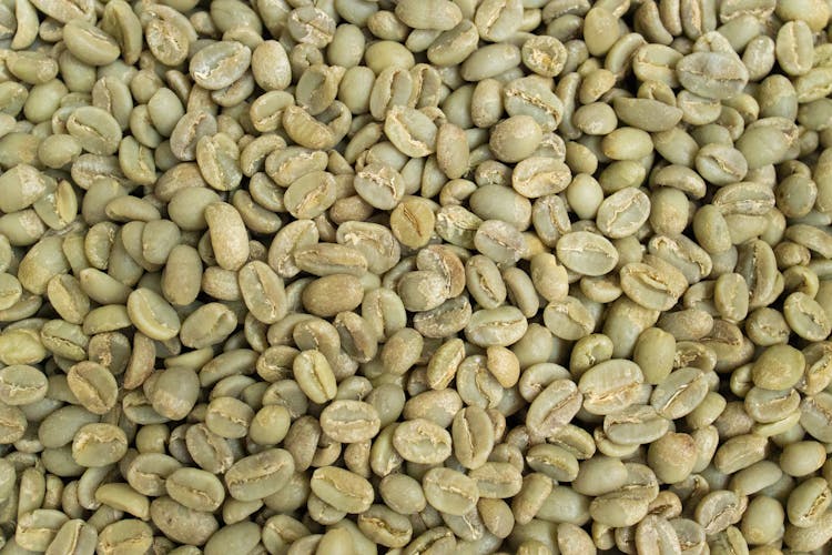 Bunch Of Green Coffee Beans