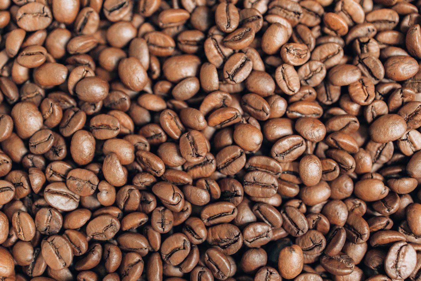Close-up of freshly roasted coffee beans