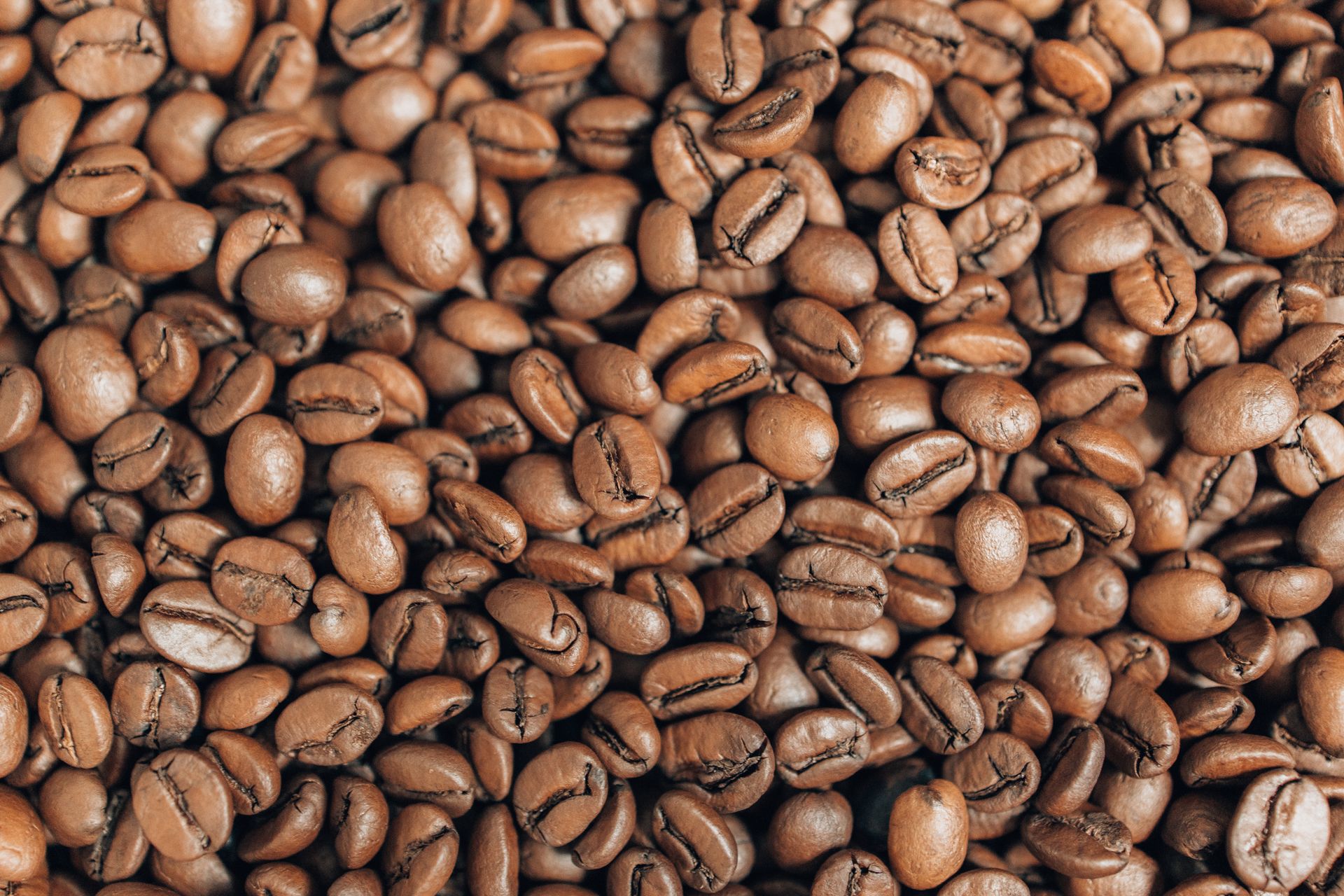 Close Up Shot of a Coffee Beans