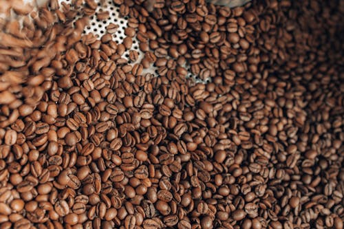 Free Brown Roasted Coffee Beans Stock Photo