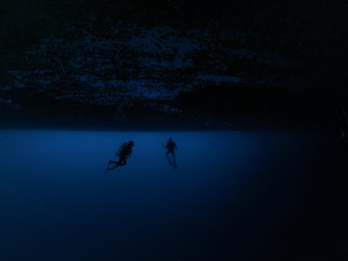 Immagine gratuita di mare, nuotare, oceano