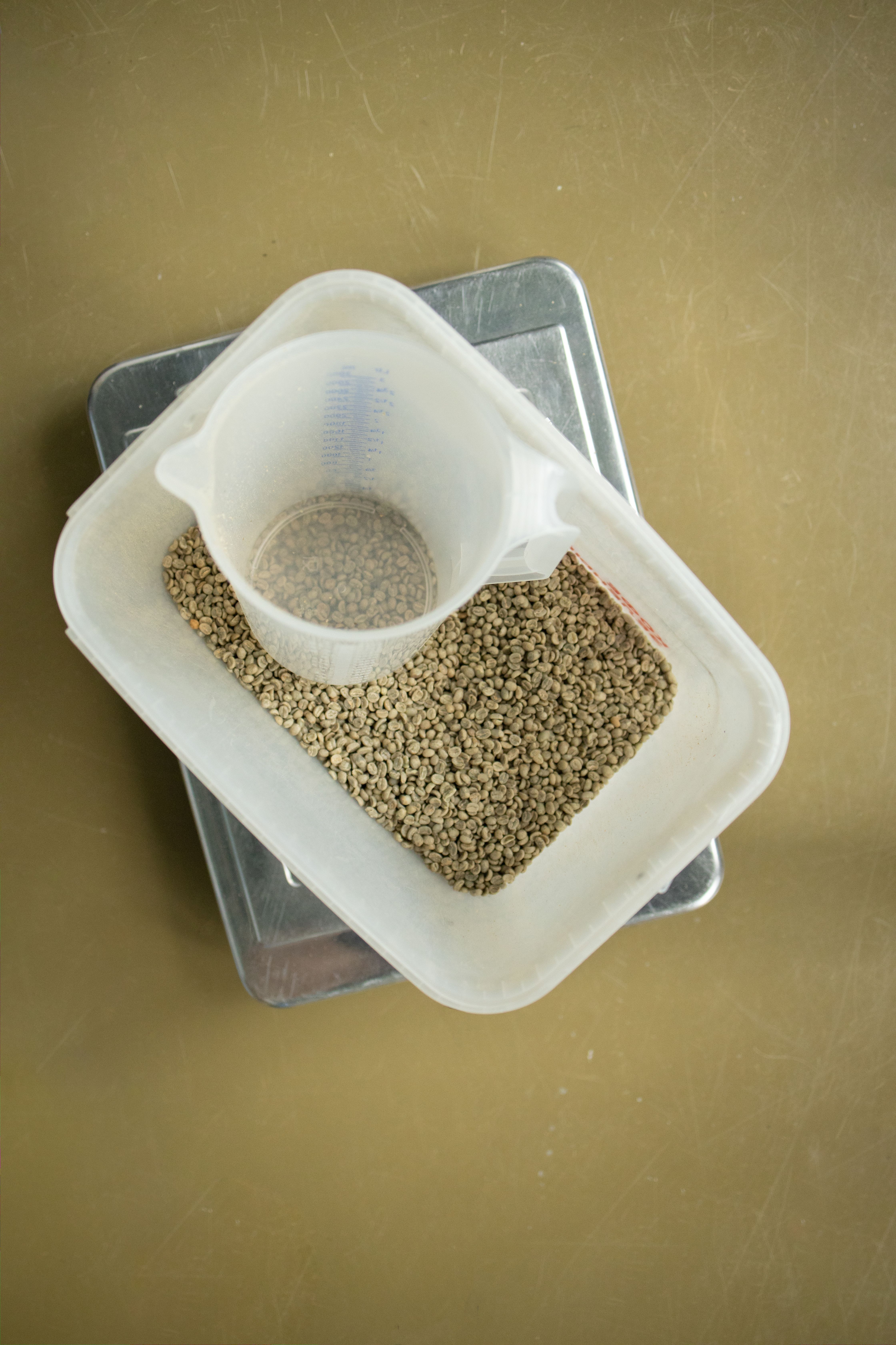 俯视称重秤上塑料容器中的生咖啡豆，非常适合咖啡和生活方式视觉效果