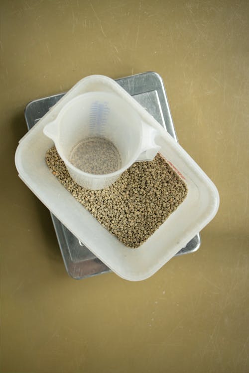 Free Coffee Beans on White Plastic Container Stock Photo