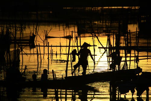 Free stock photo of fisherman