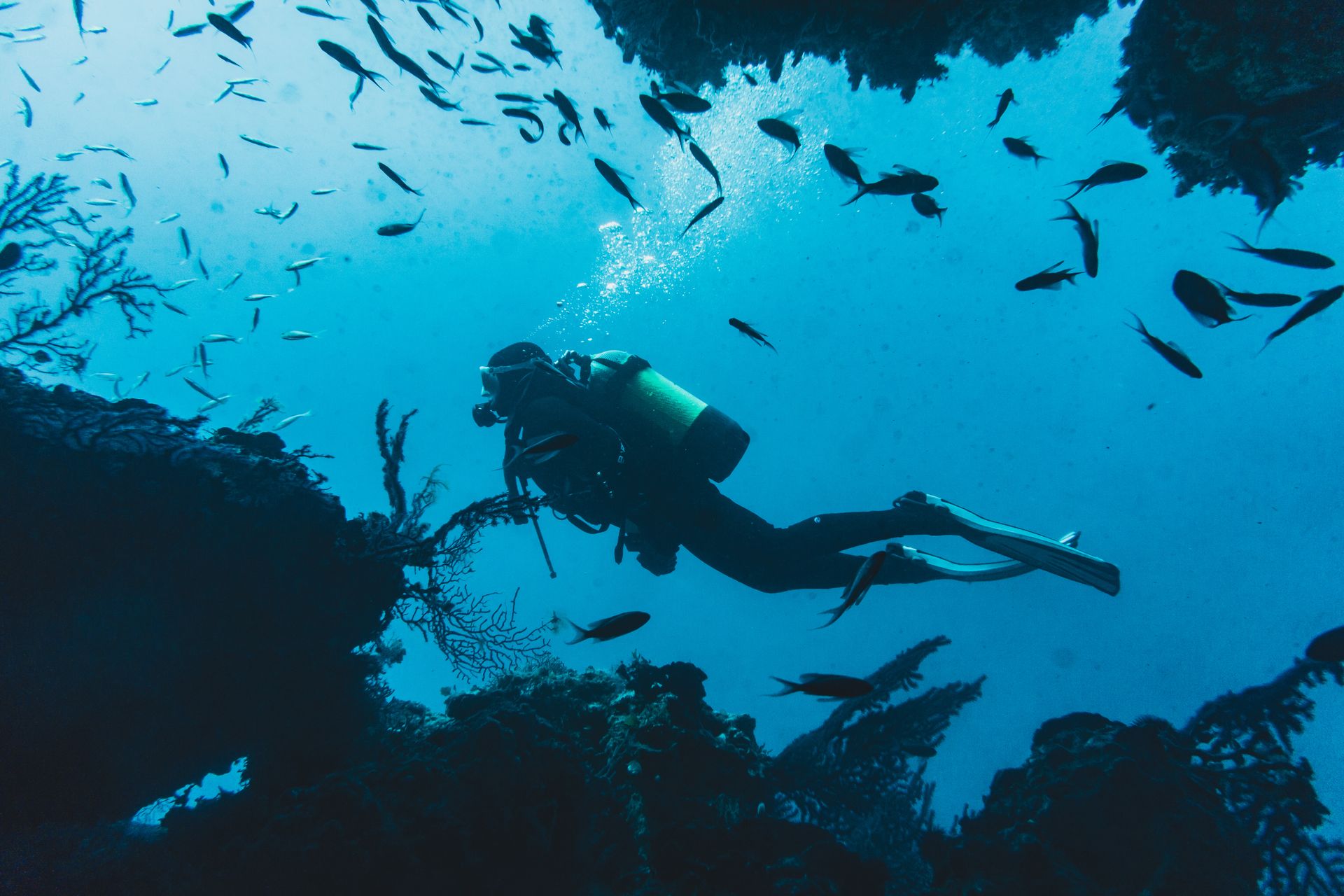 Diver swimming through a vibrant school of fish
