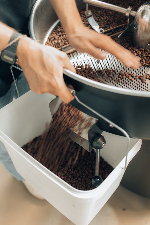 Free Person Holding Brown Coffee Beans Stock Photo
