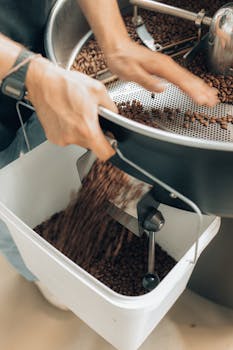 Close-up of hands handling roasted coffee beans in a modern coffee roaster.