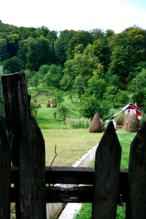 Free stock photo of agriculture, beauty of nature, contry