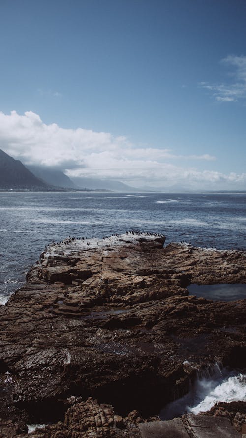 Rock Cliff Facing Ocean