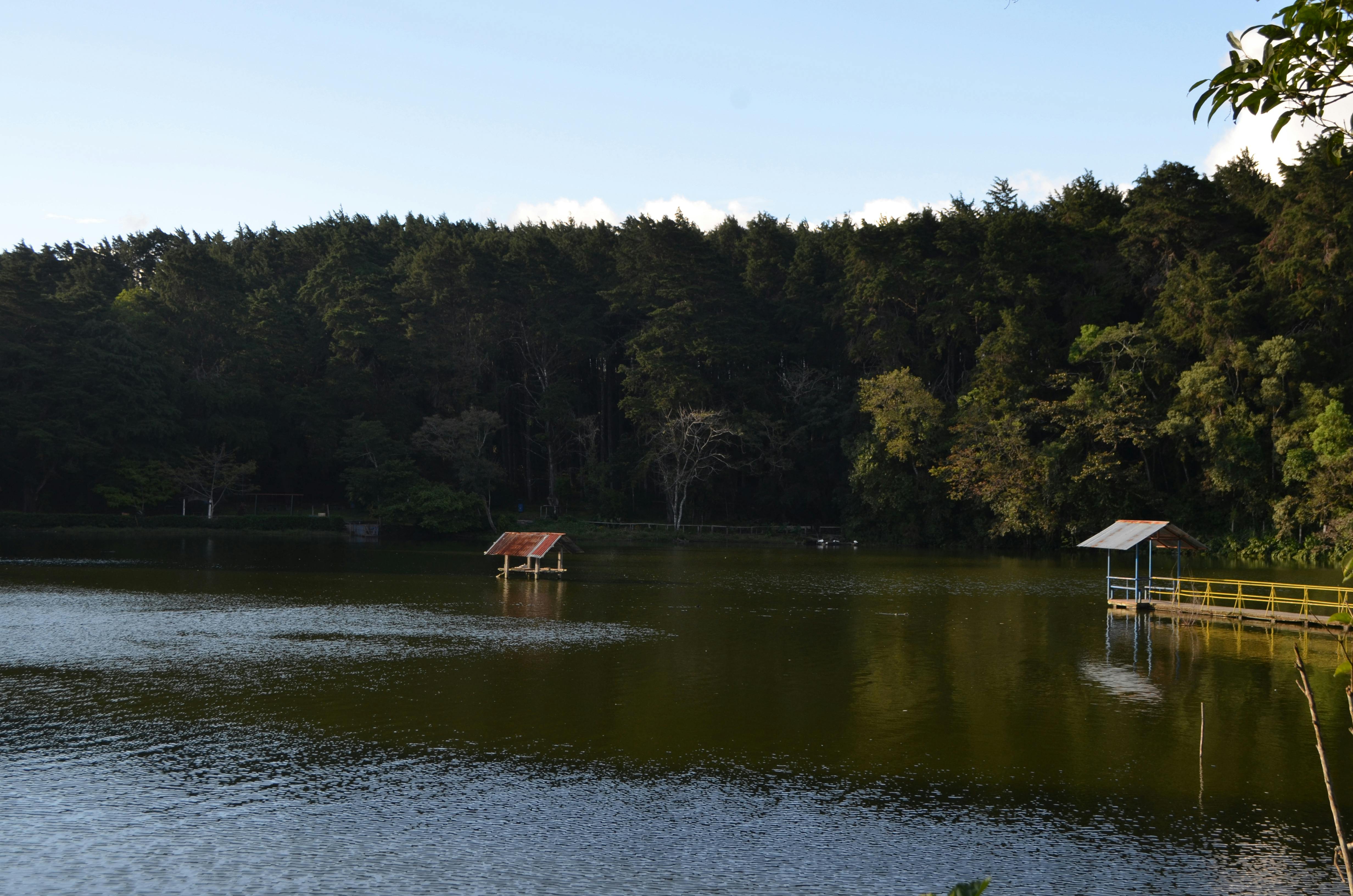 Direito do Consumidor